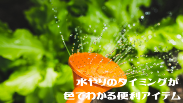 植物の水やりに頼れるサポートアイテム【sus tee】
