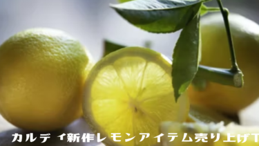 夏にぴったり酸味さわやか!カルディ【新作レモンアイテム】売り上げTOP5
