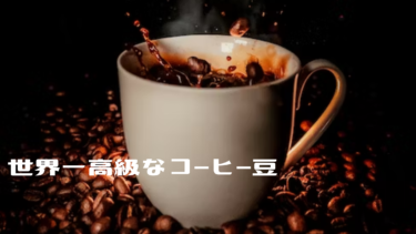 アンタッチャブル柴田さんおすすめの世界一高級なコーヒー豆
