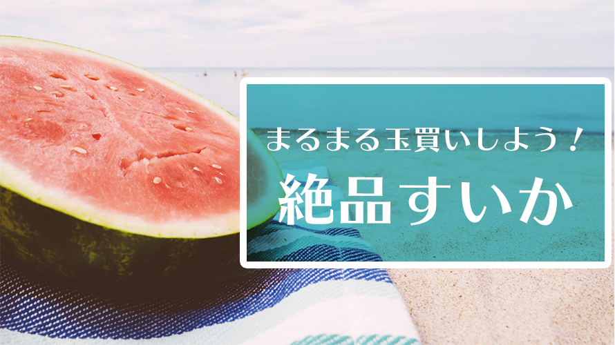 音まで美味しい 玉買いしたくなる絶品スイカ Meeha