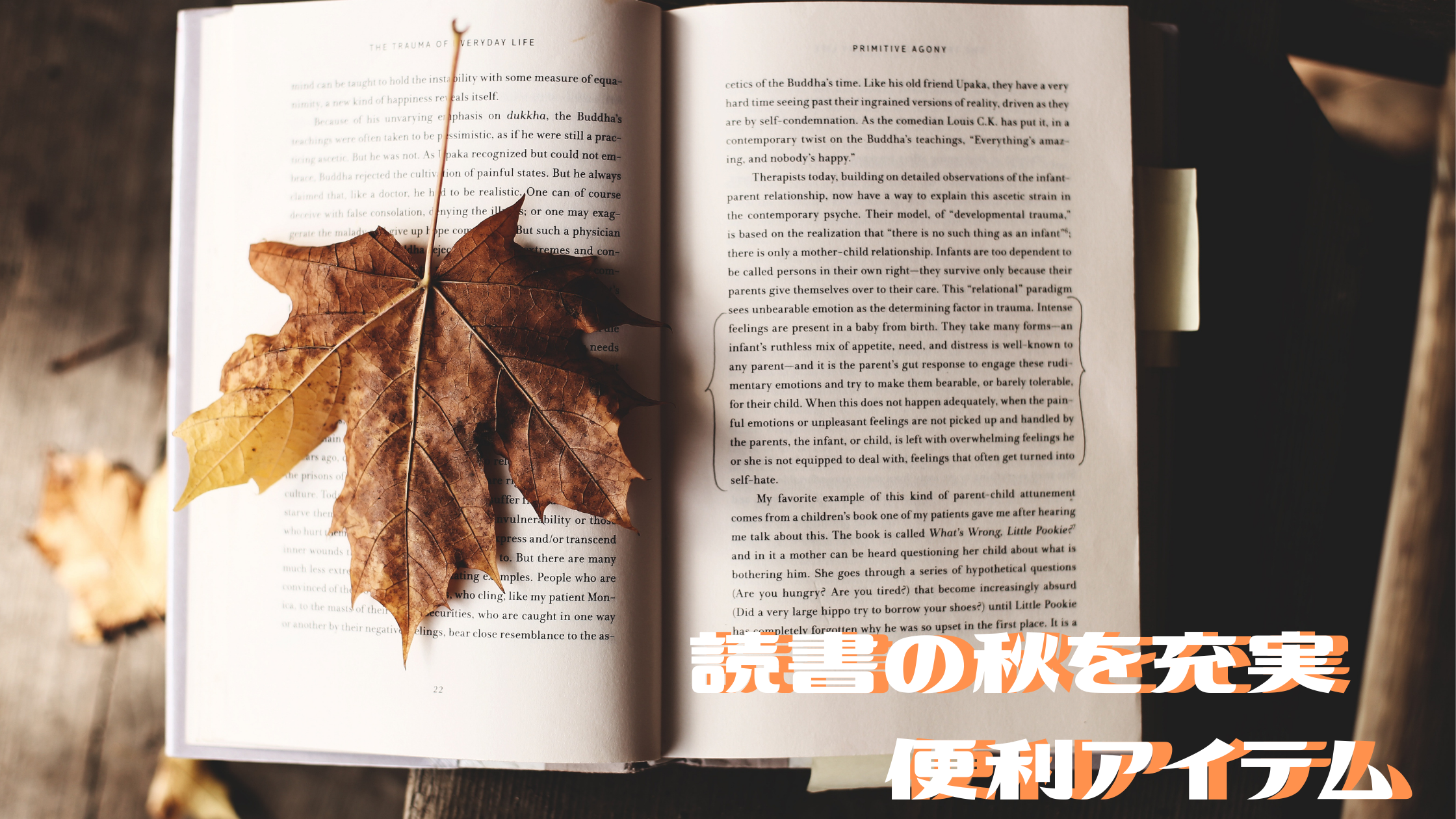 読書の秋に大活躍便利な【読書アイテム】