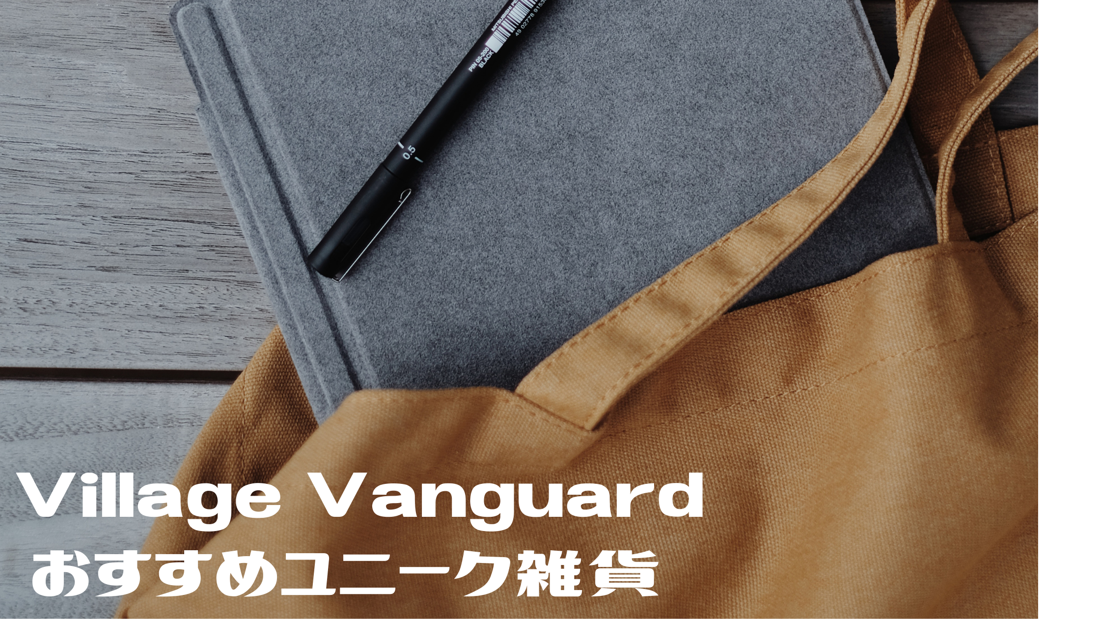 【Village Vanguard】おもしろ雑貨ヴィレヴァンのおすすめアイテム『広辞苑アイテム』『岩波書店アイテム』『ゆる袴』