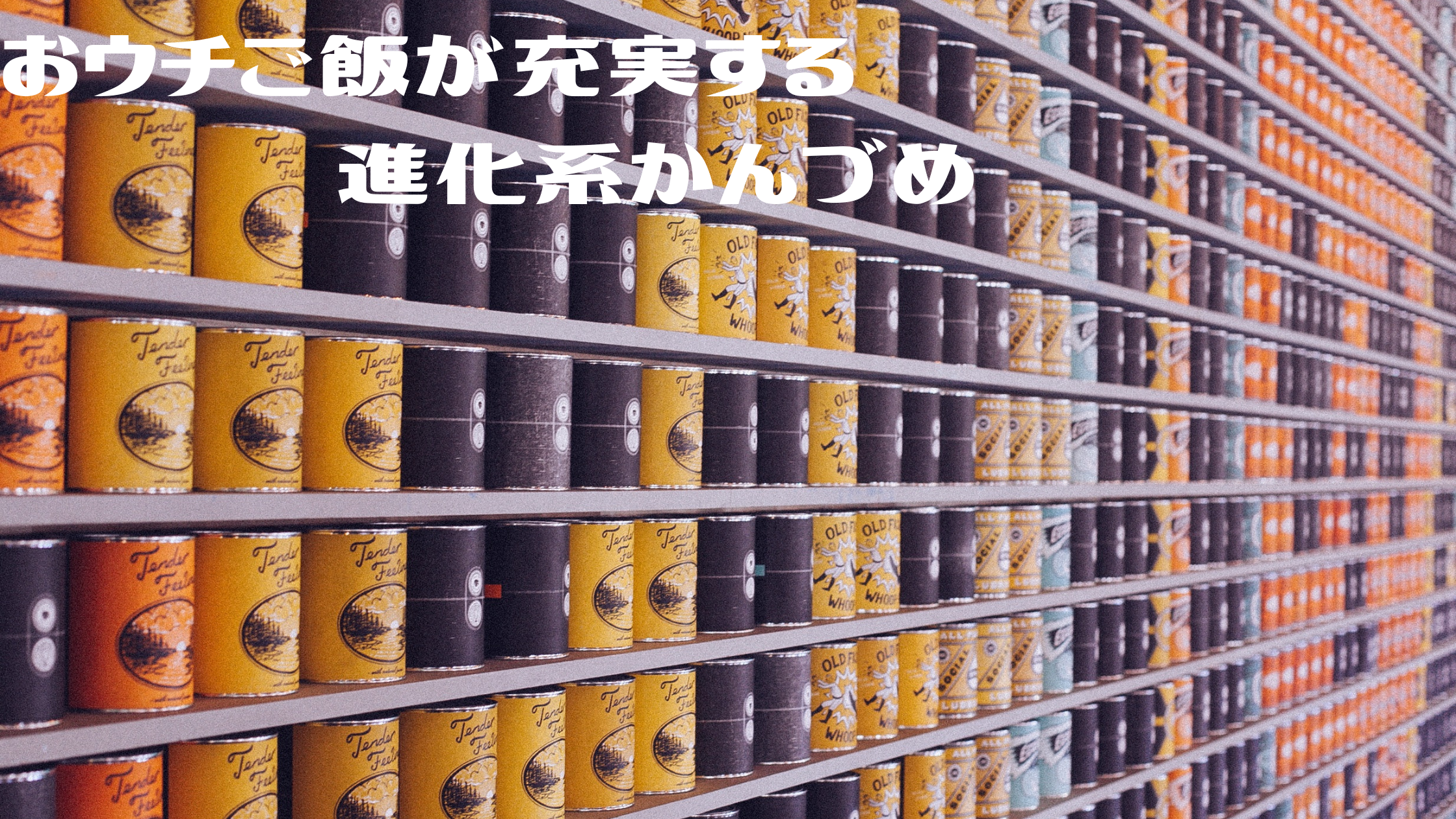 【ZIP】進化系かんづめ『高級缶詰』『世界初の缶詰』『本格的なご飯缶詰』お取り寄せ