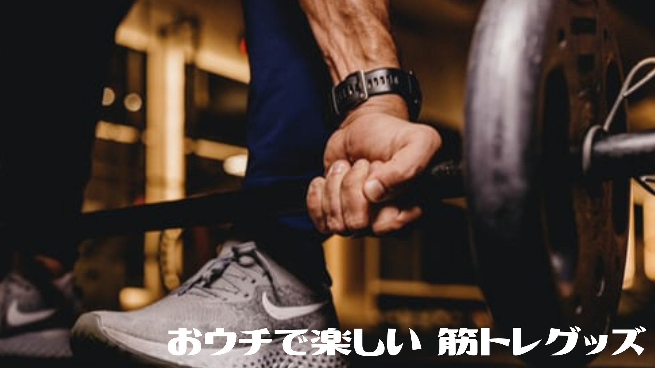おウチで楽しい 筋トレグッズ Meeha