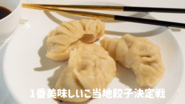 お取り寄せできる!1番美味しい【ご当地餃子】決定戦